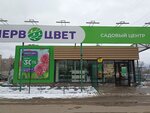 Pervocvet (ulitsa Dzerzhinskogo, 68А), garden center