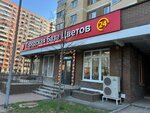 Gorodskaya baza cvetov (Pushkino, ulitsa Prosveshcheniya, 13к3) ، محل زهور