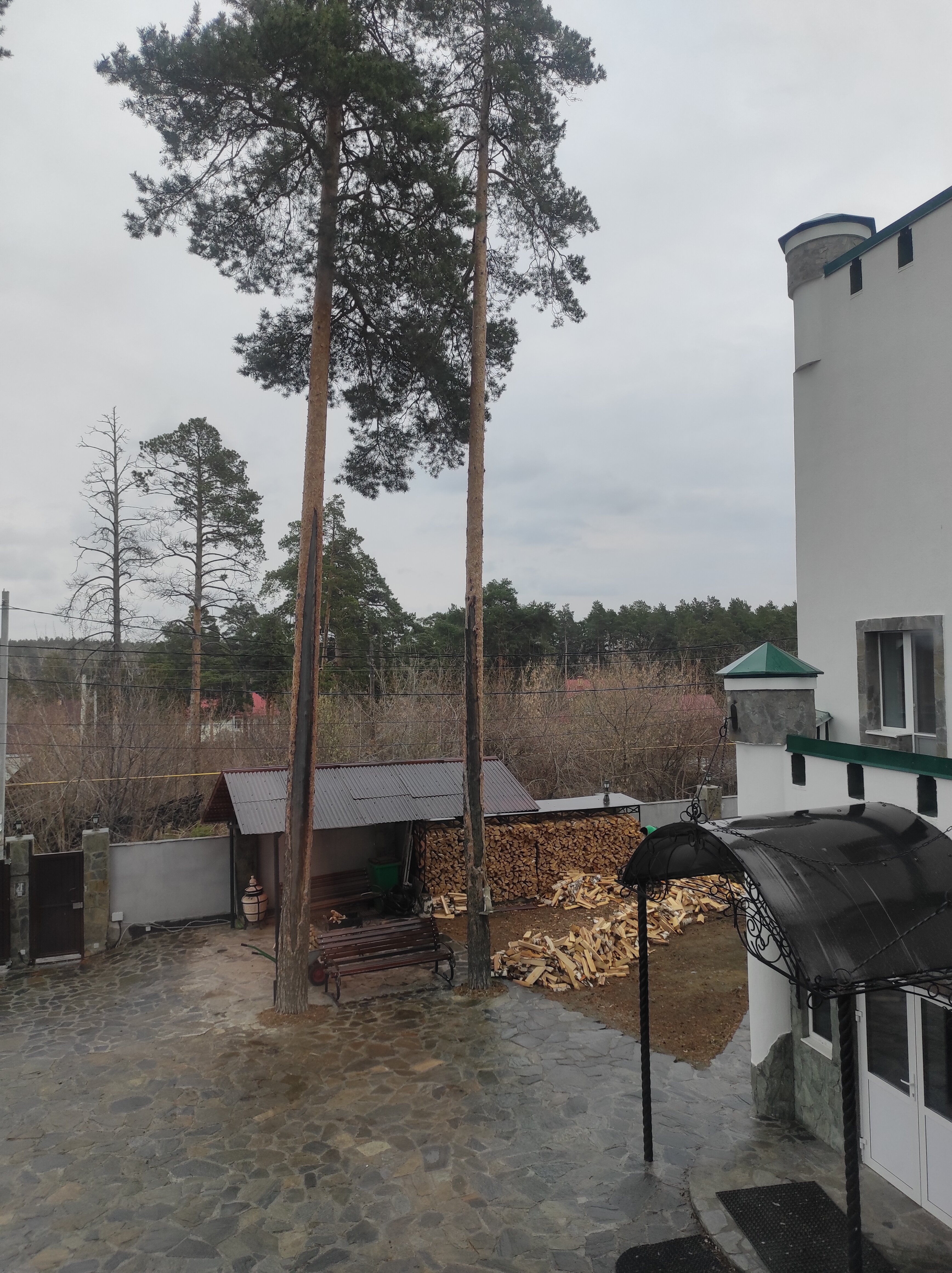 Фото Sonya Family Hotel