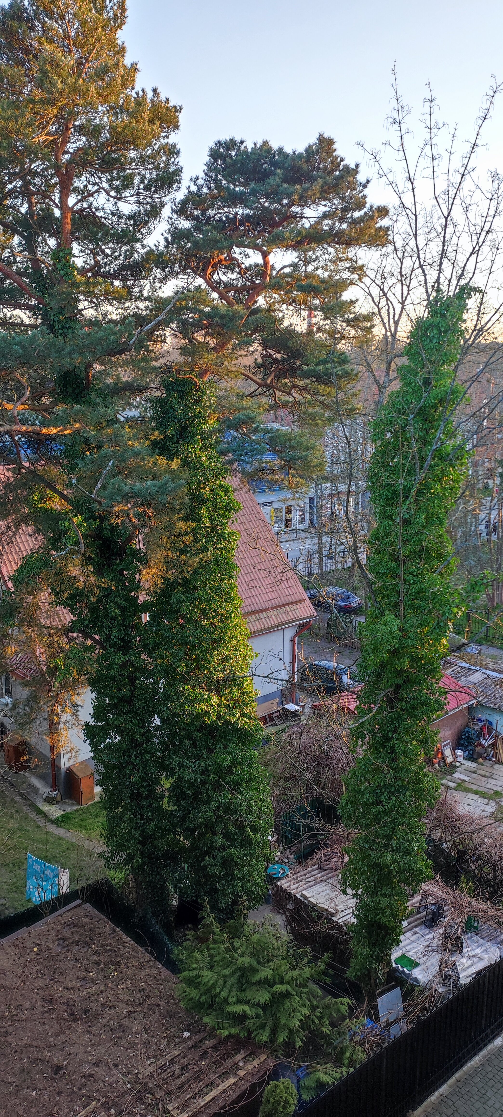 Фото Apartments Malina Alt Platz