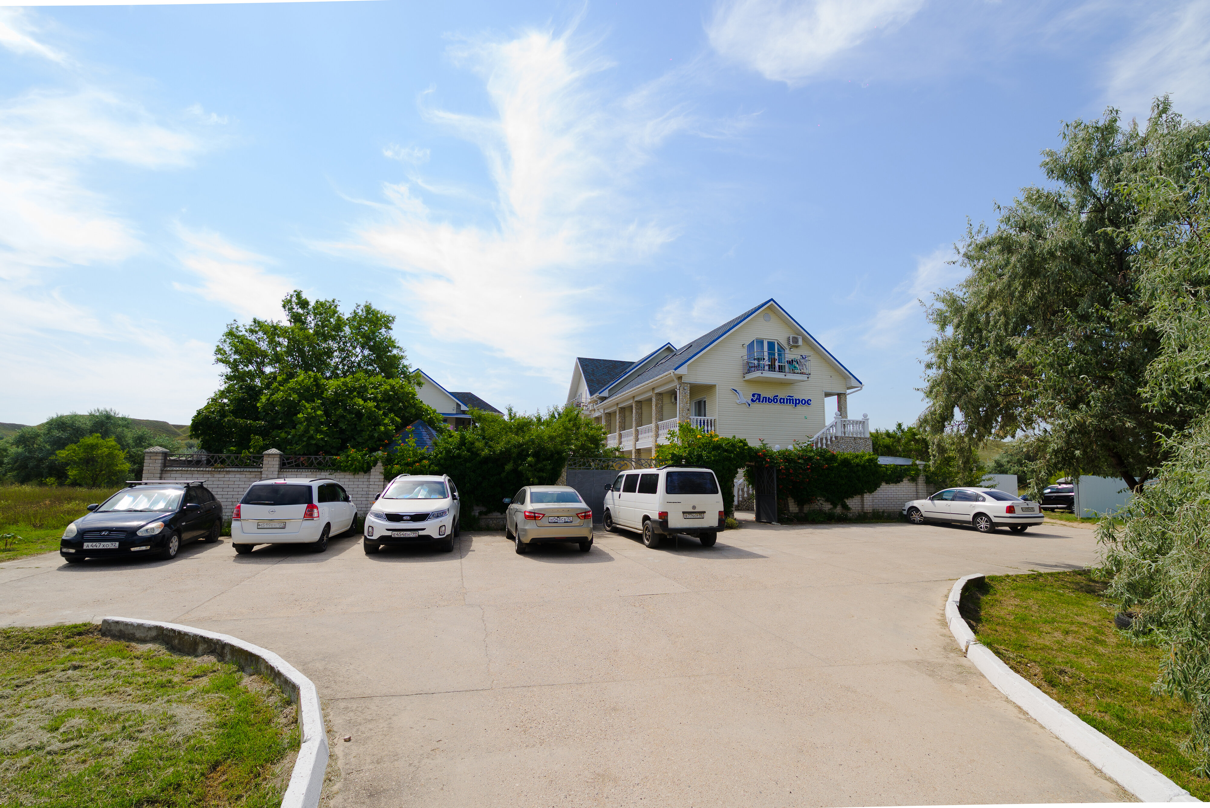 Фото Альбатрос