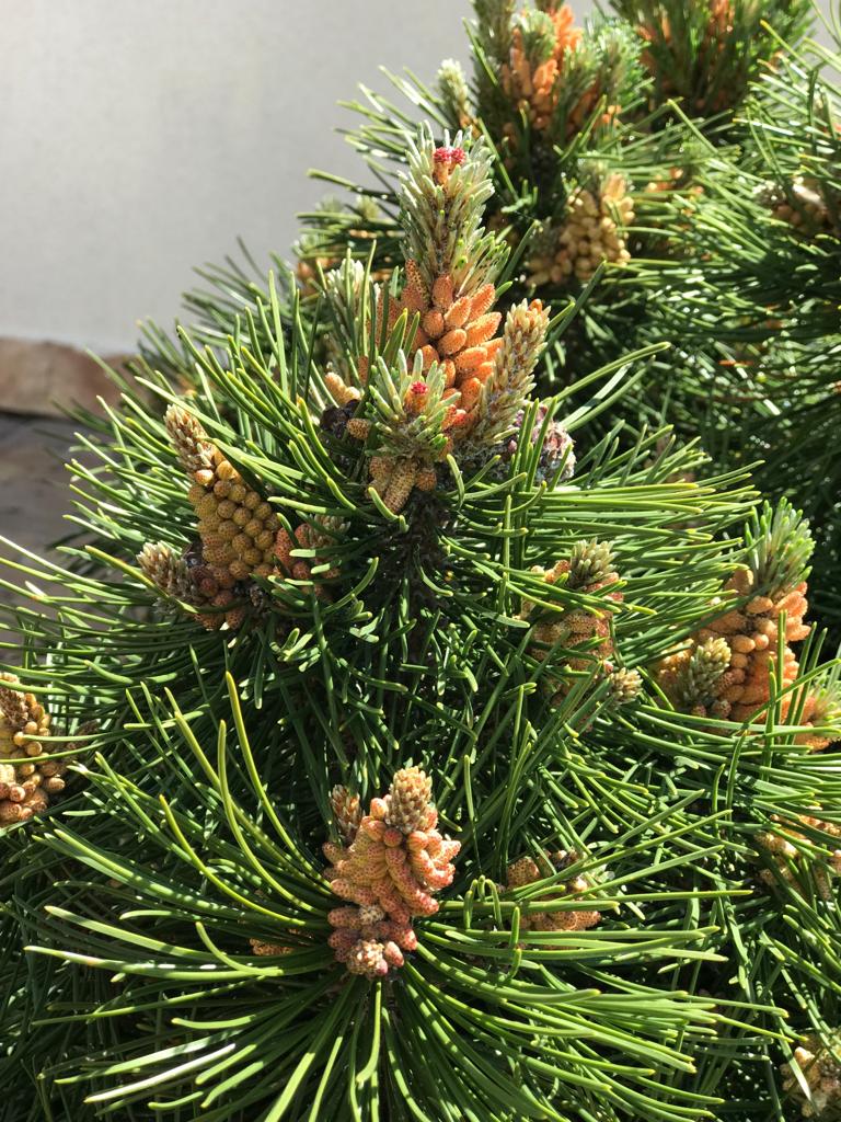 Фото Коттедж у моря Дом & Пляж