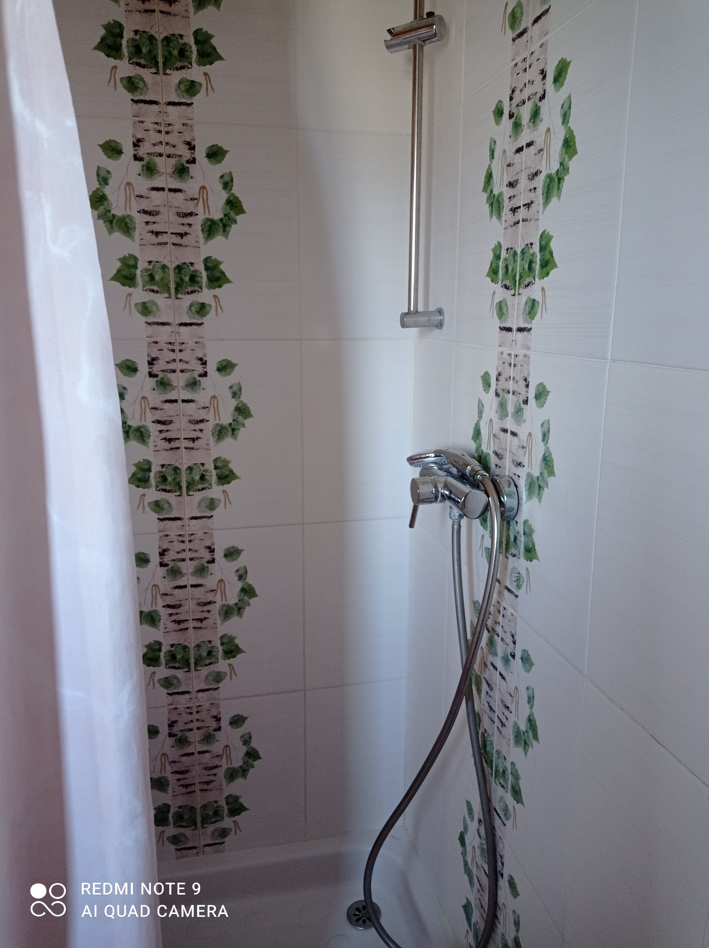 Фото Саттва