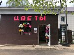 Магазин цветов (Yuzhniy Microdistrict, Lenina Street, 28), flower shop