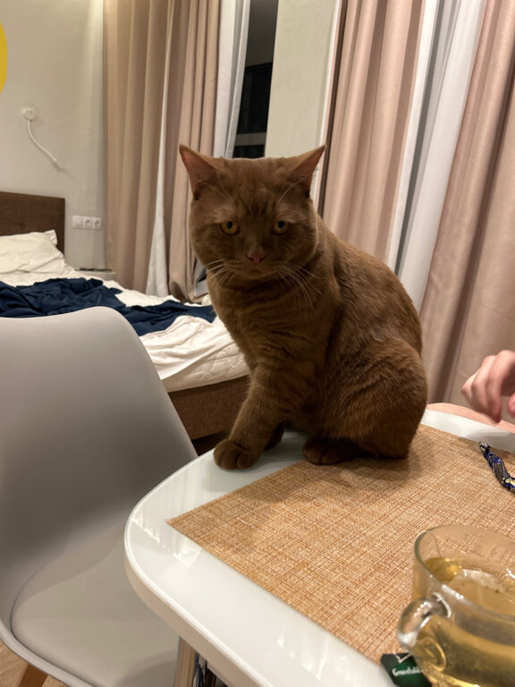 Фото Оранжевое небо