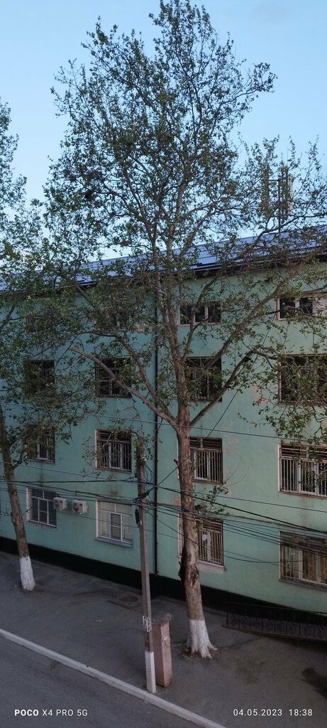 Department of the hospital Zhenskoye otdeleniye Respublikanskoy Psikhiatricheskoy Bolnitsy, Gbu, Buynaksk, photo