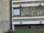 Tsentr po ukhodu za detmi Yeleny Teleginoy (Rodonitovaya Street, 2к1) ، مركز الرعاية النهارية، رياض الأطفال