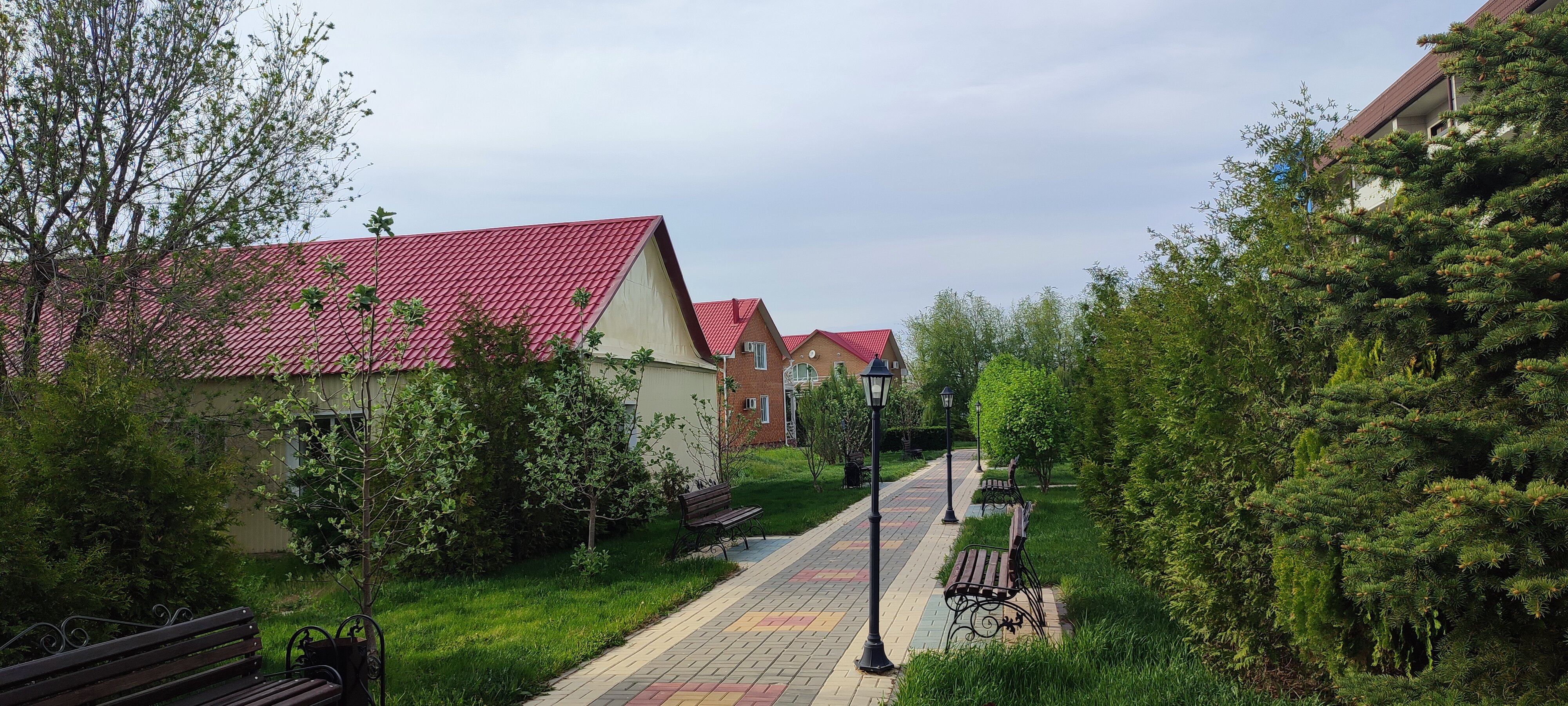 Фото Эльтон