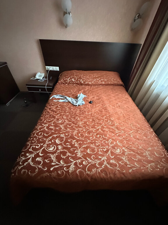 Фото Метелица