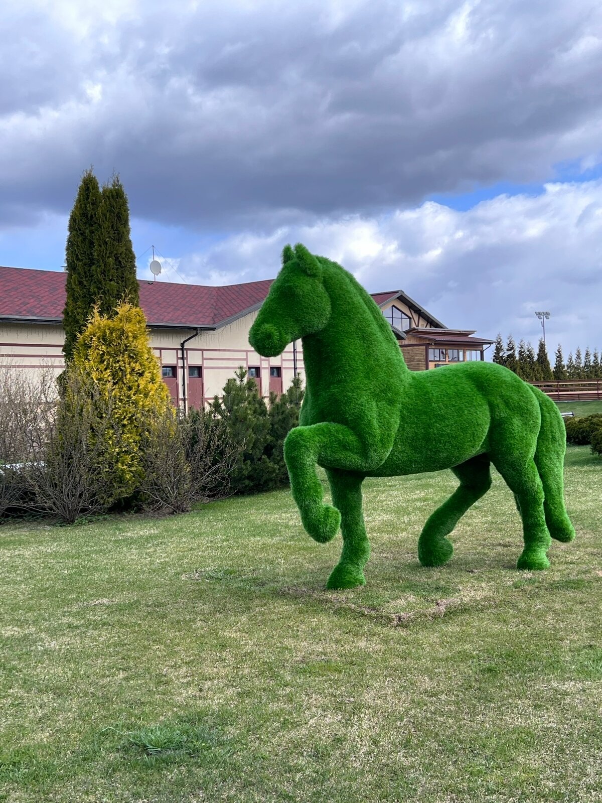 Фото Покровское Дивное