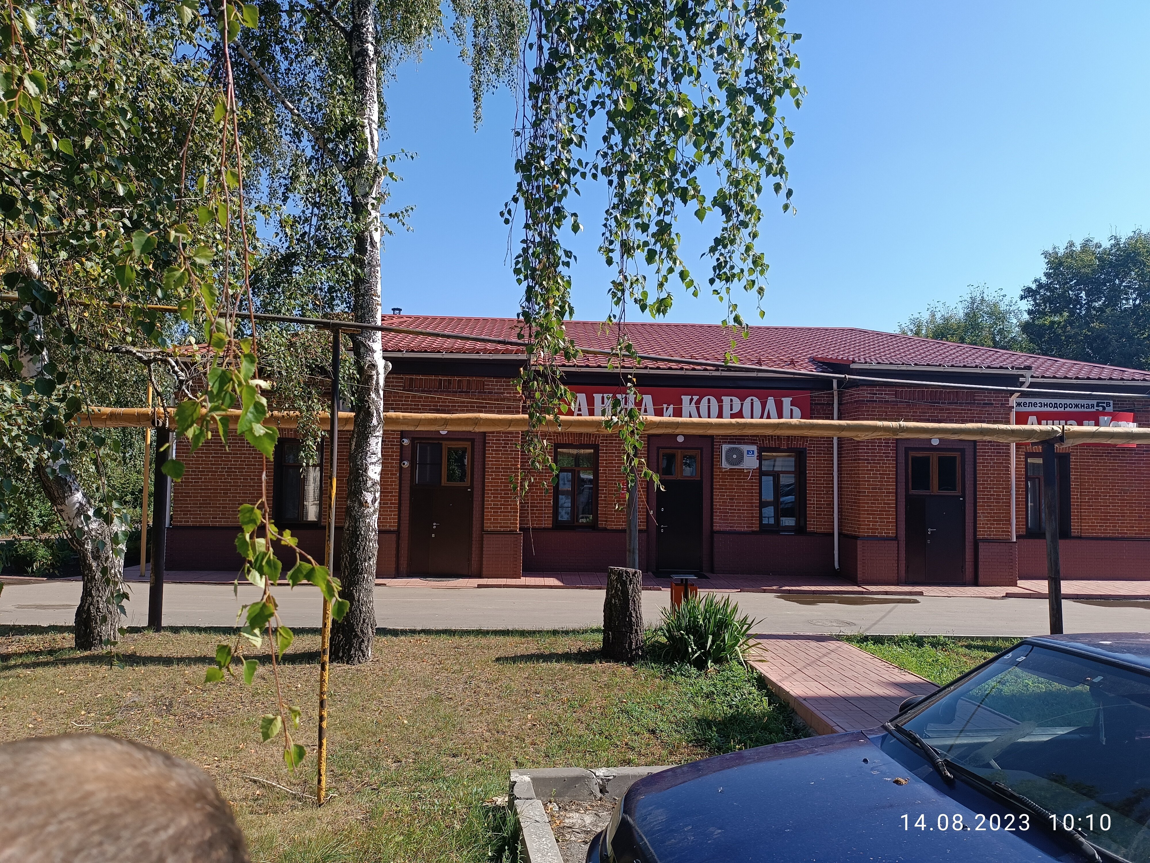 Фото Анна и Король