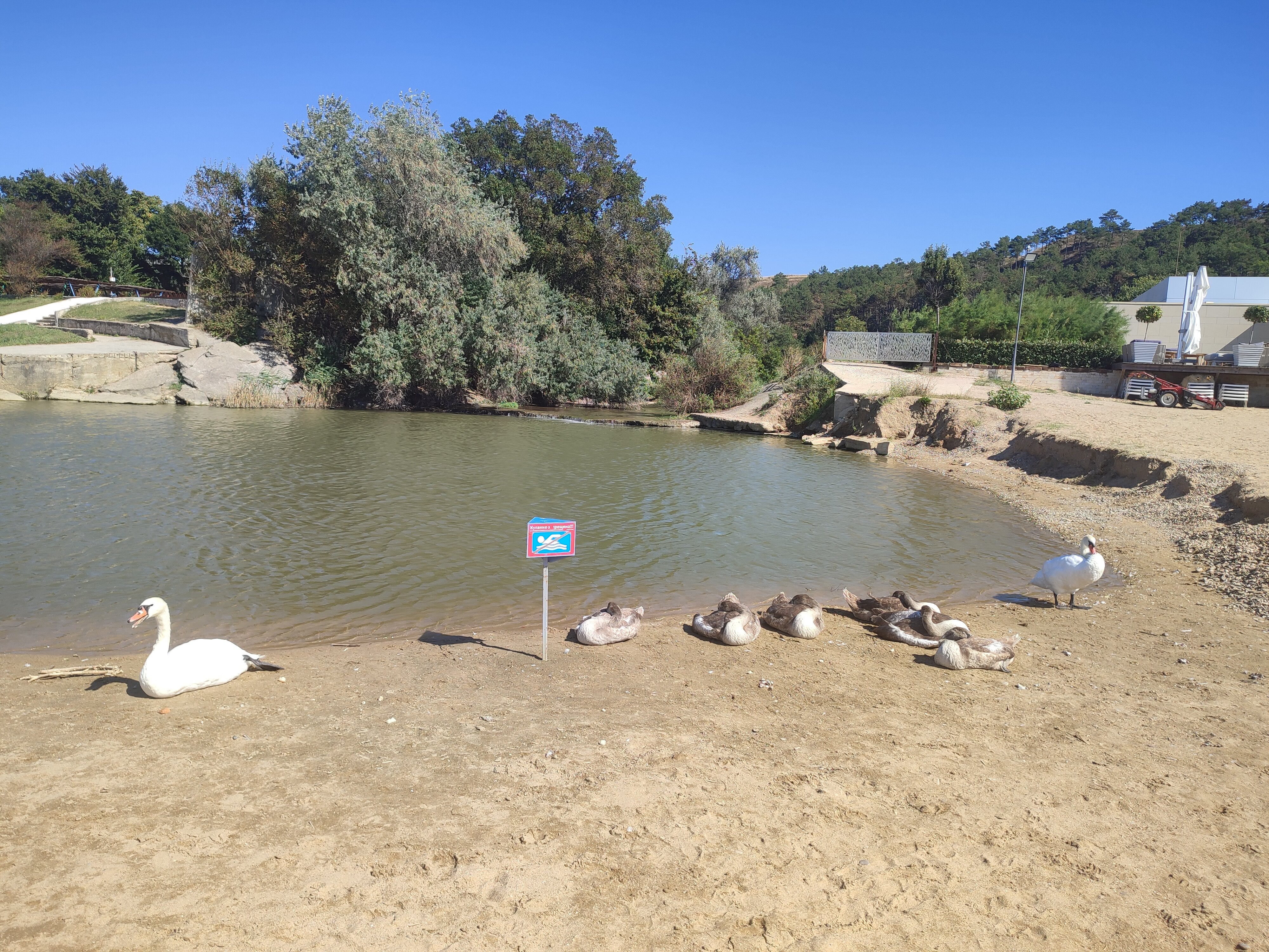 Фото Лагуна