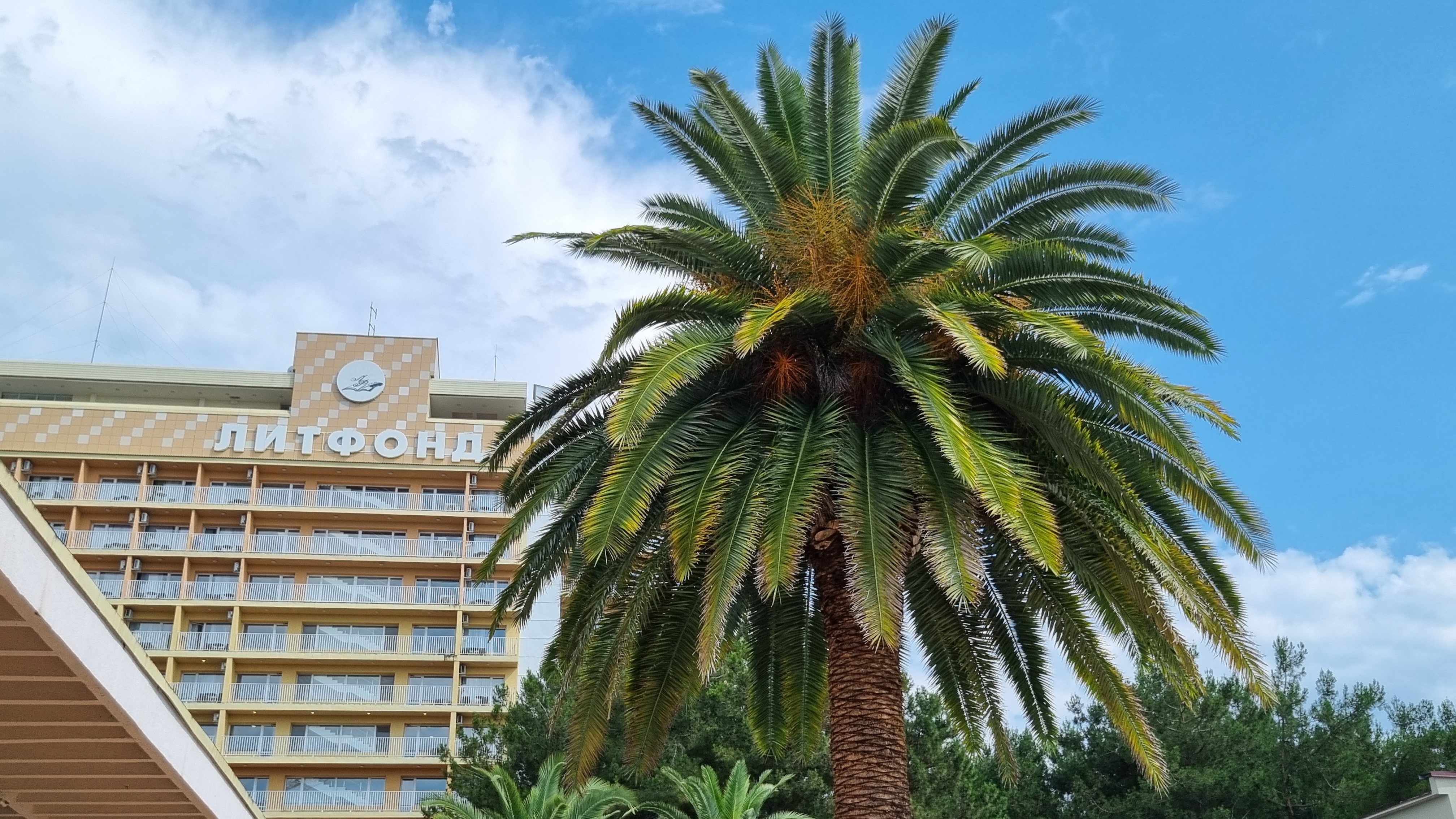 Фото Литфонд