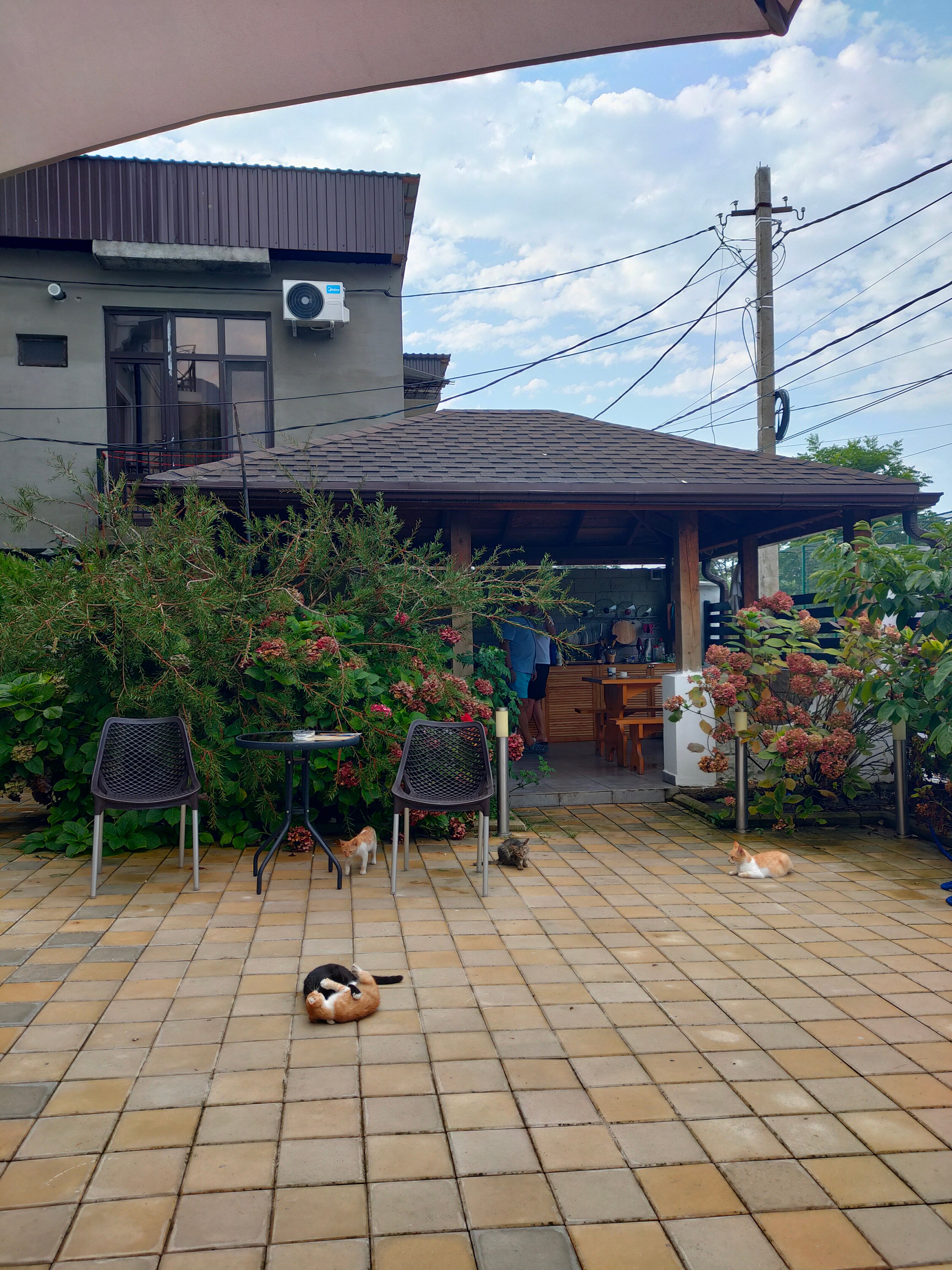 Фото Golden Gagra