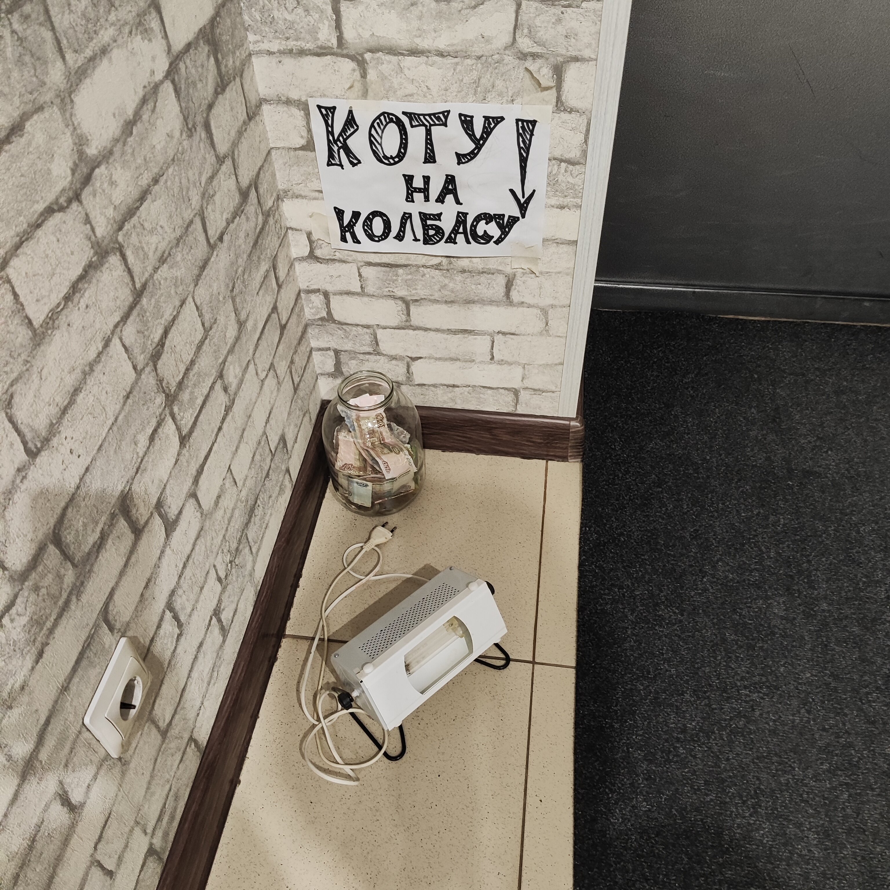 Фото Эдельвейс