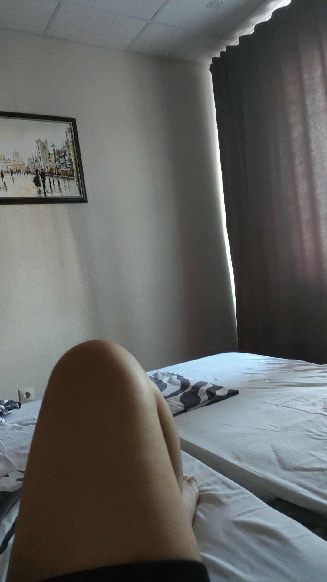 Фото Иволга