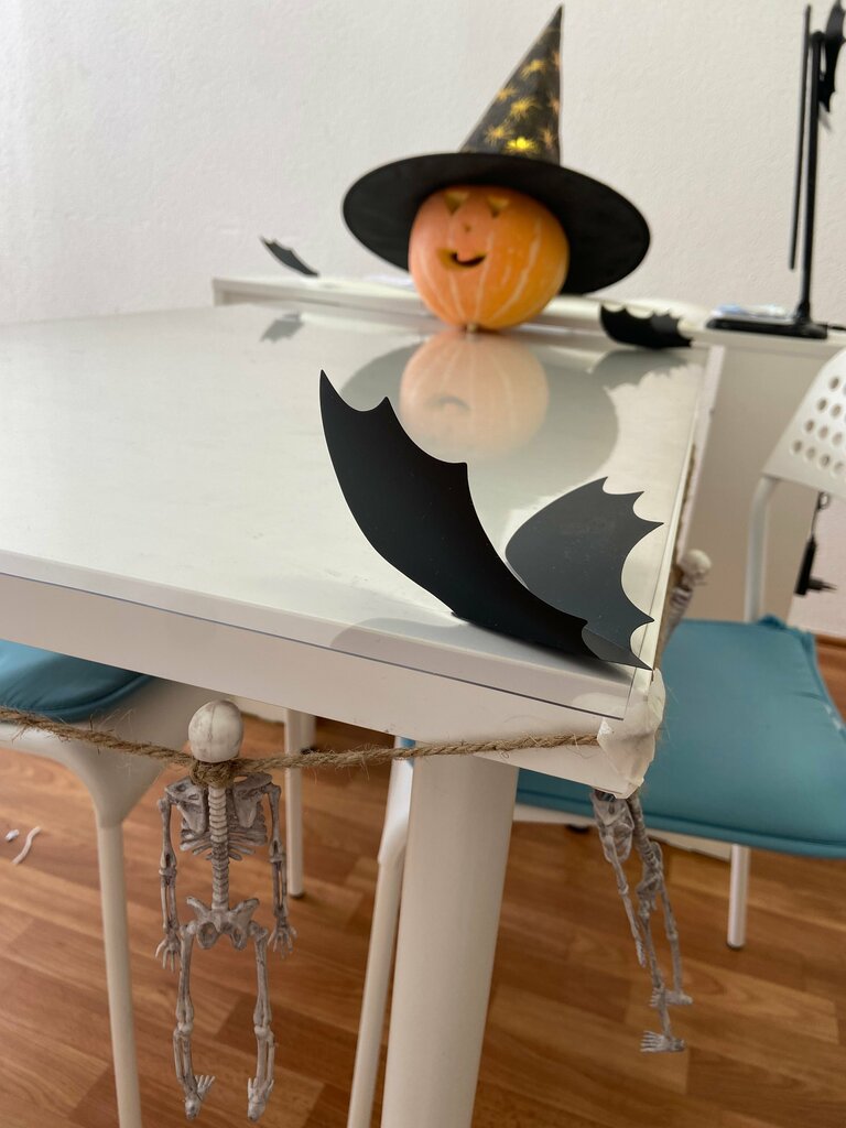 Tutoring M. I. A., Pskov, photo