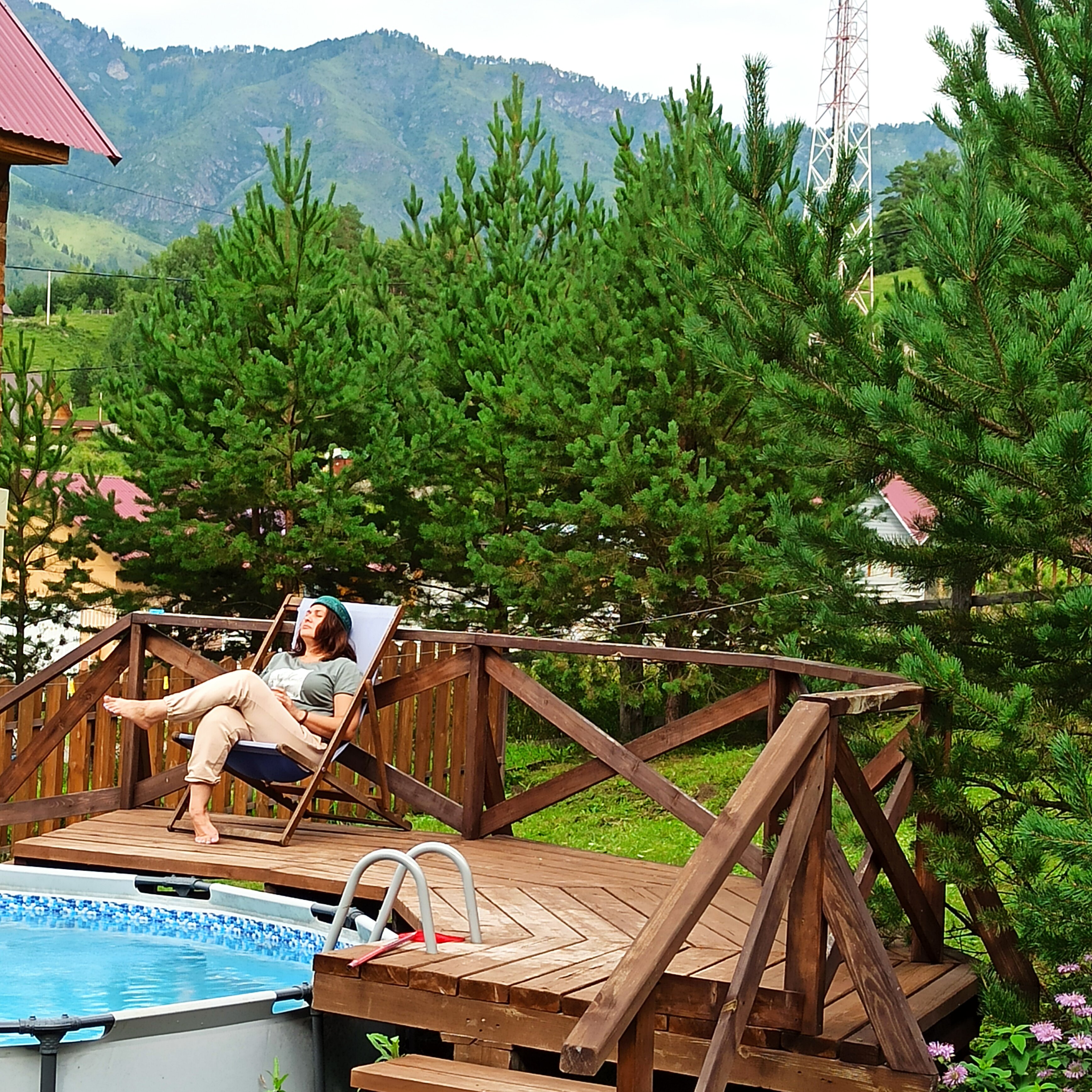 Фото Шишкин лес