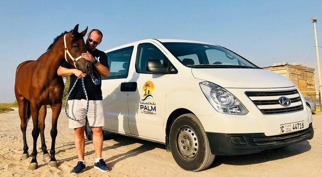 Travel agency Palm tourism, Ras al‑Khaimah, photo