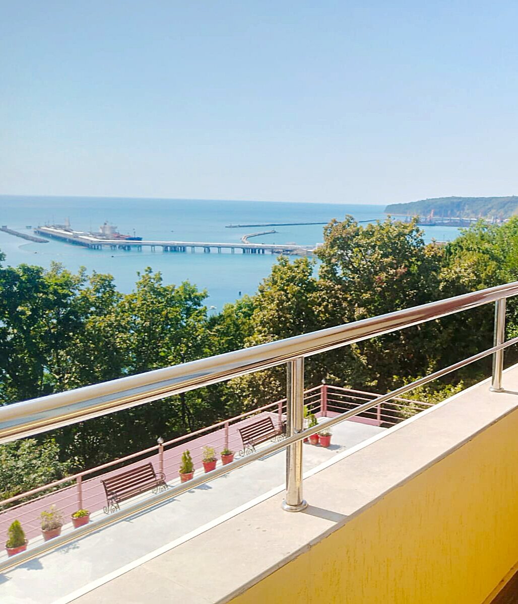 Фото Багира