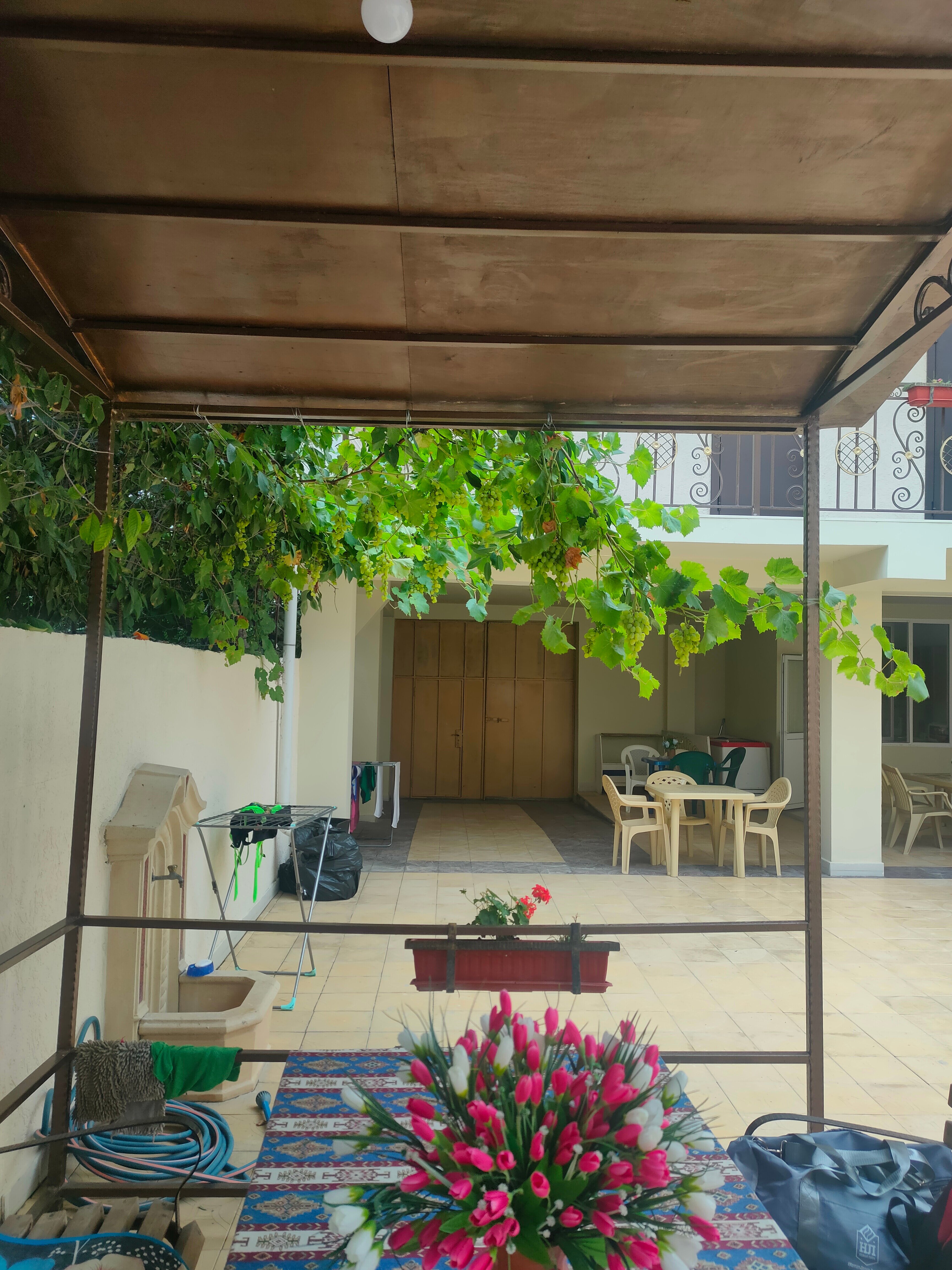 Фото Адмирал