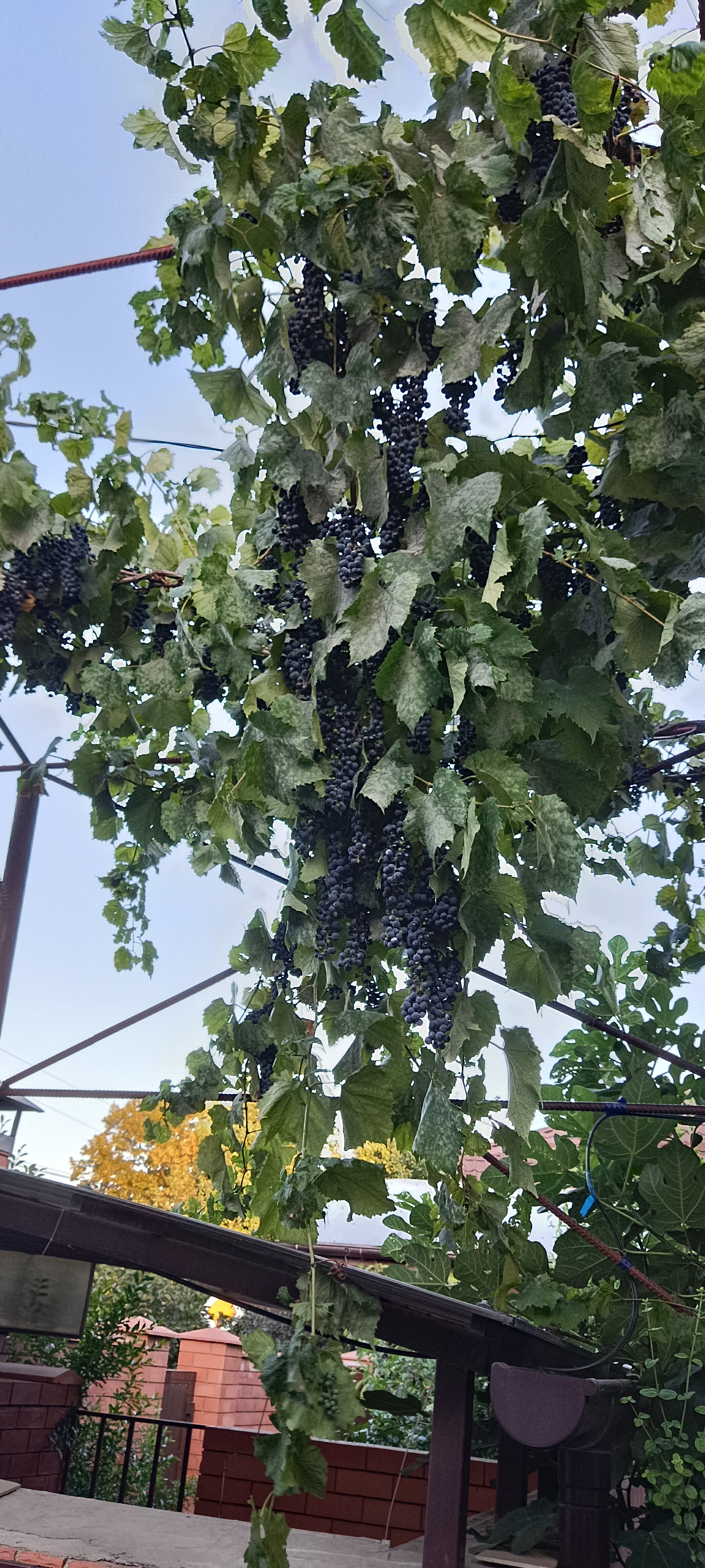 Фото Комфорт