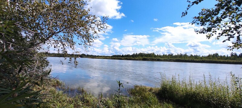 Семейный уют — фото 14
