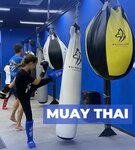 Wolves Zone Mma Academy (Al Khaleej Al Arabi Street, 199), sports hall, gym