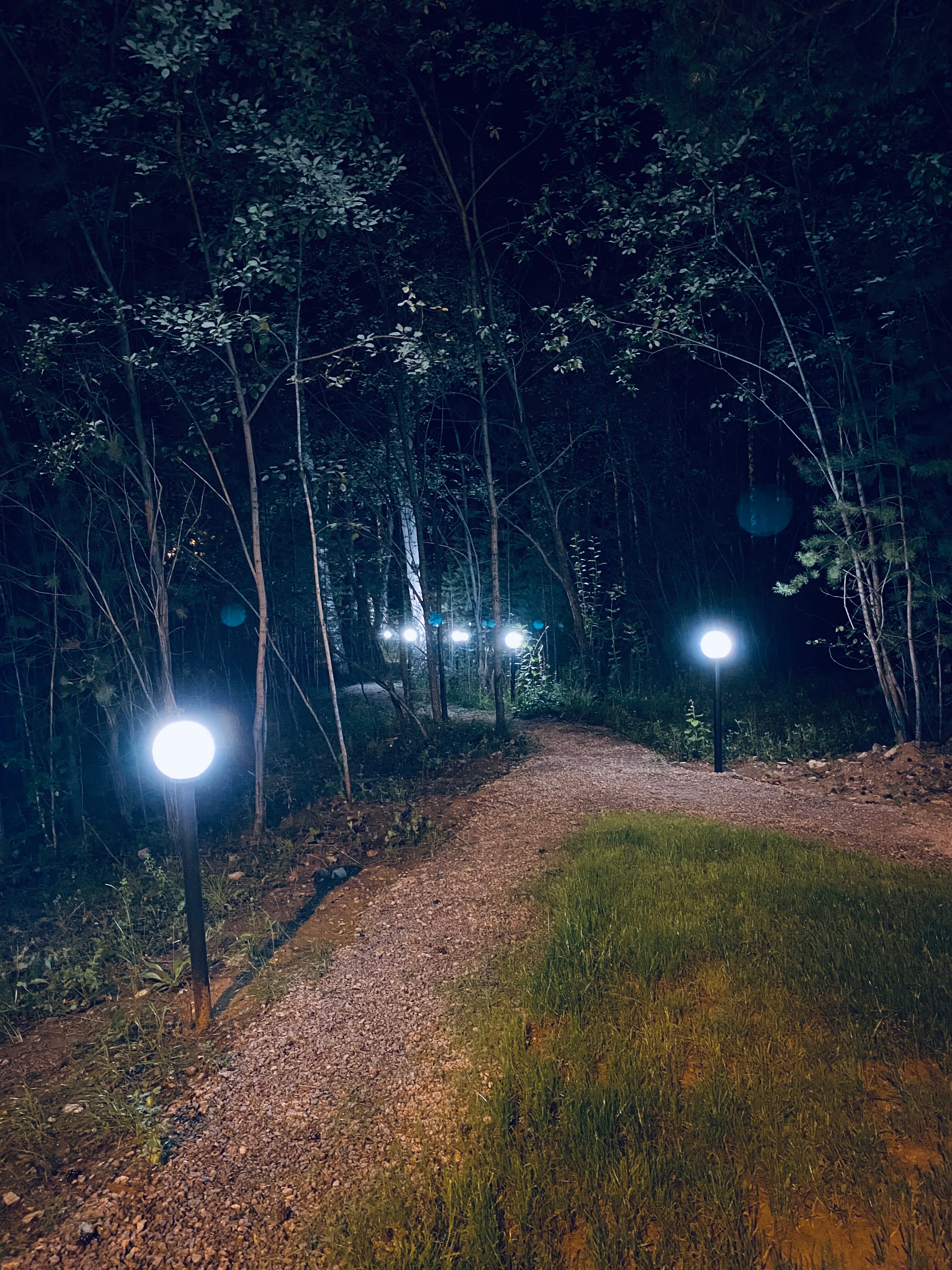 Фото Лесотерапия