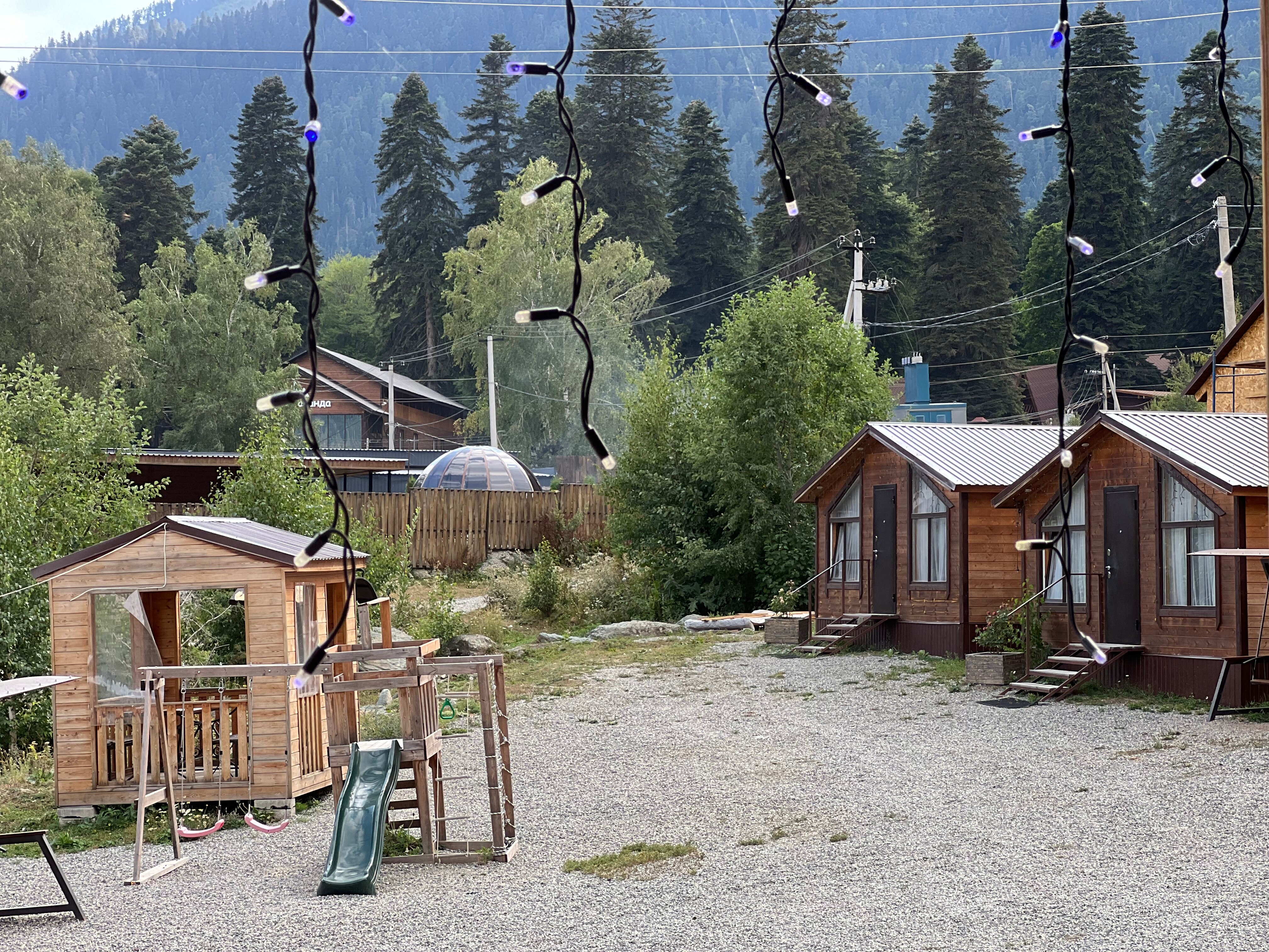 Фото Дикая груша