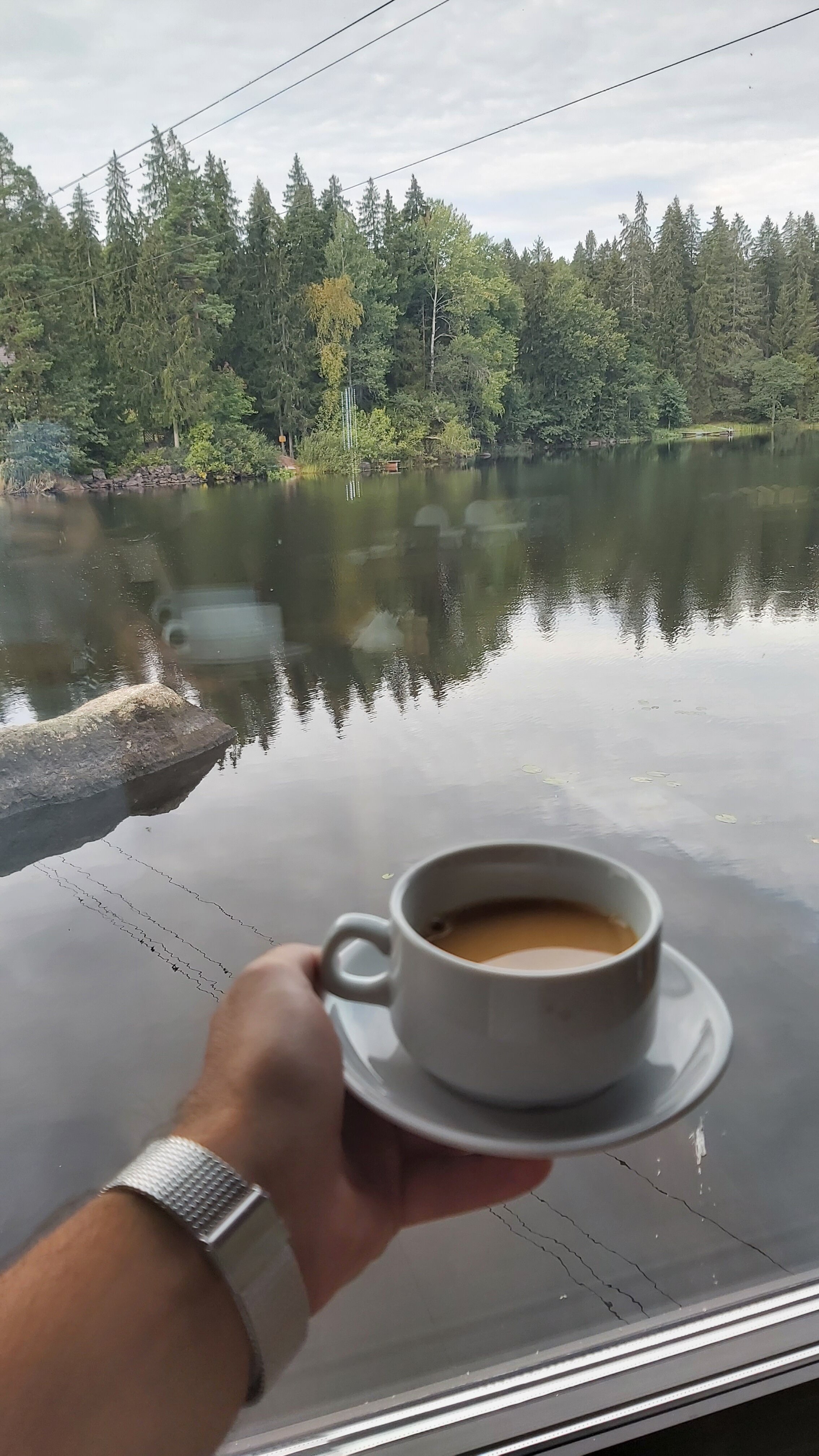 Фото Тапиола