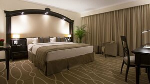 Гостиница Danat Al Ain Resort