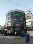 Неон (Bukharestskaya Street, 74к3) ، أحواض السمك