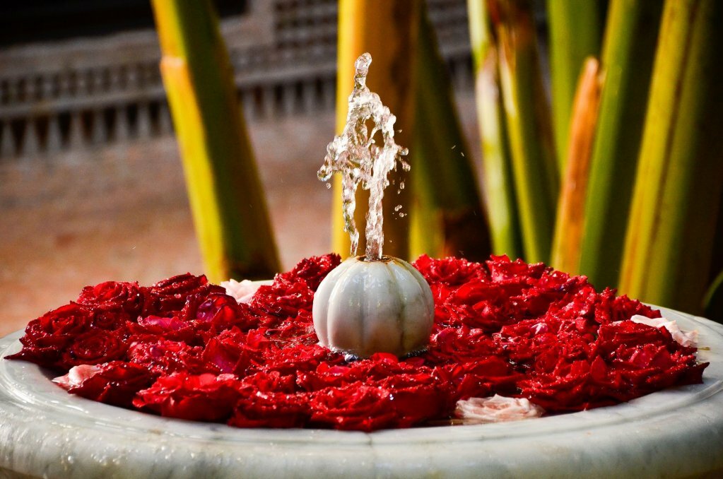 Фото Riad Ilayka