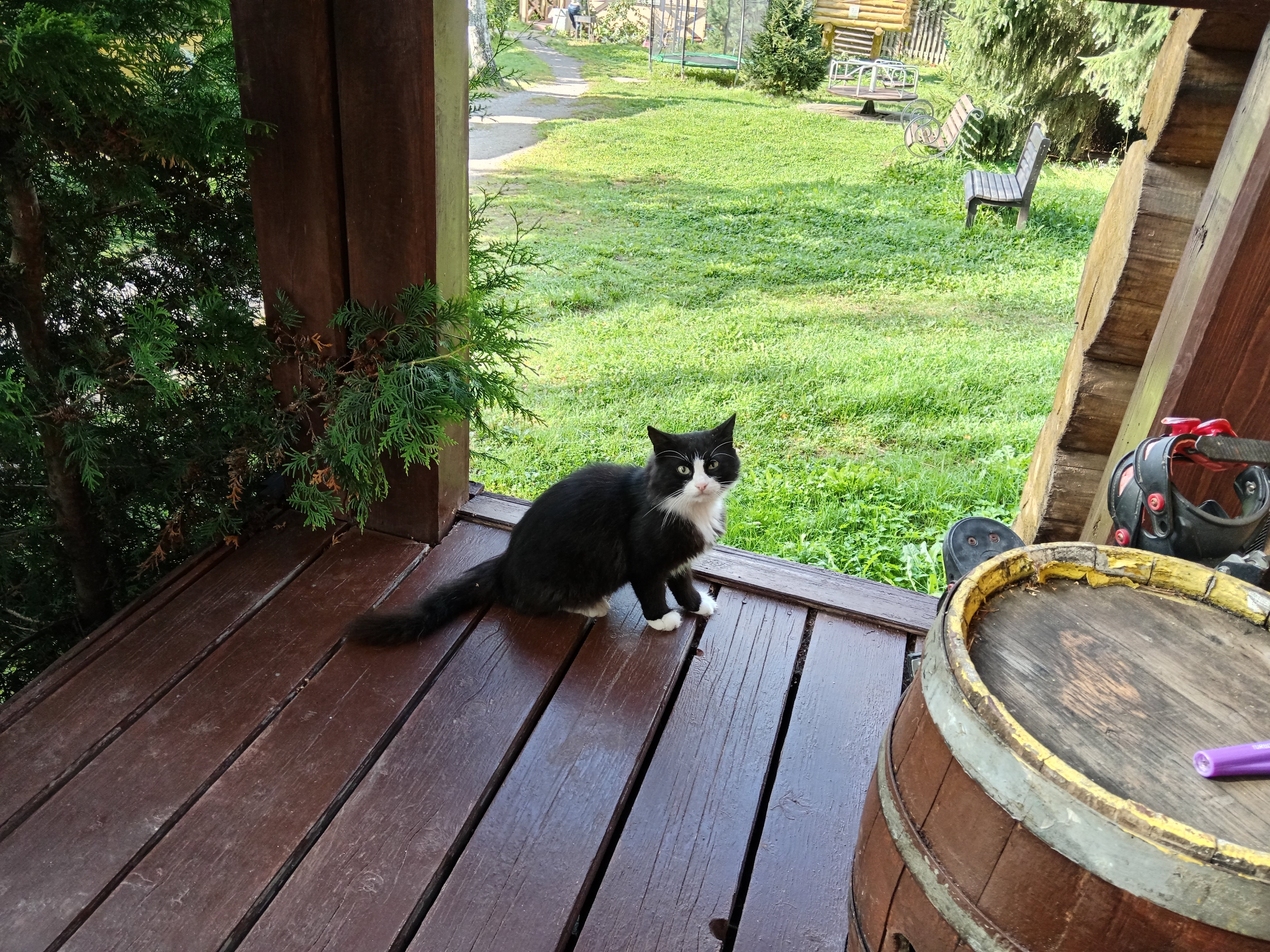 Фото Беличье