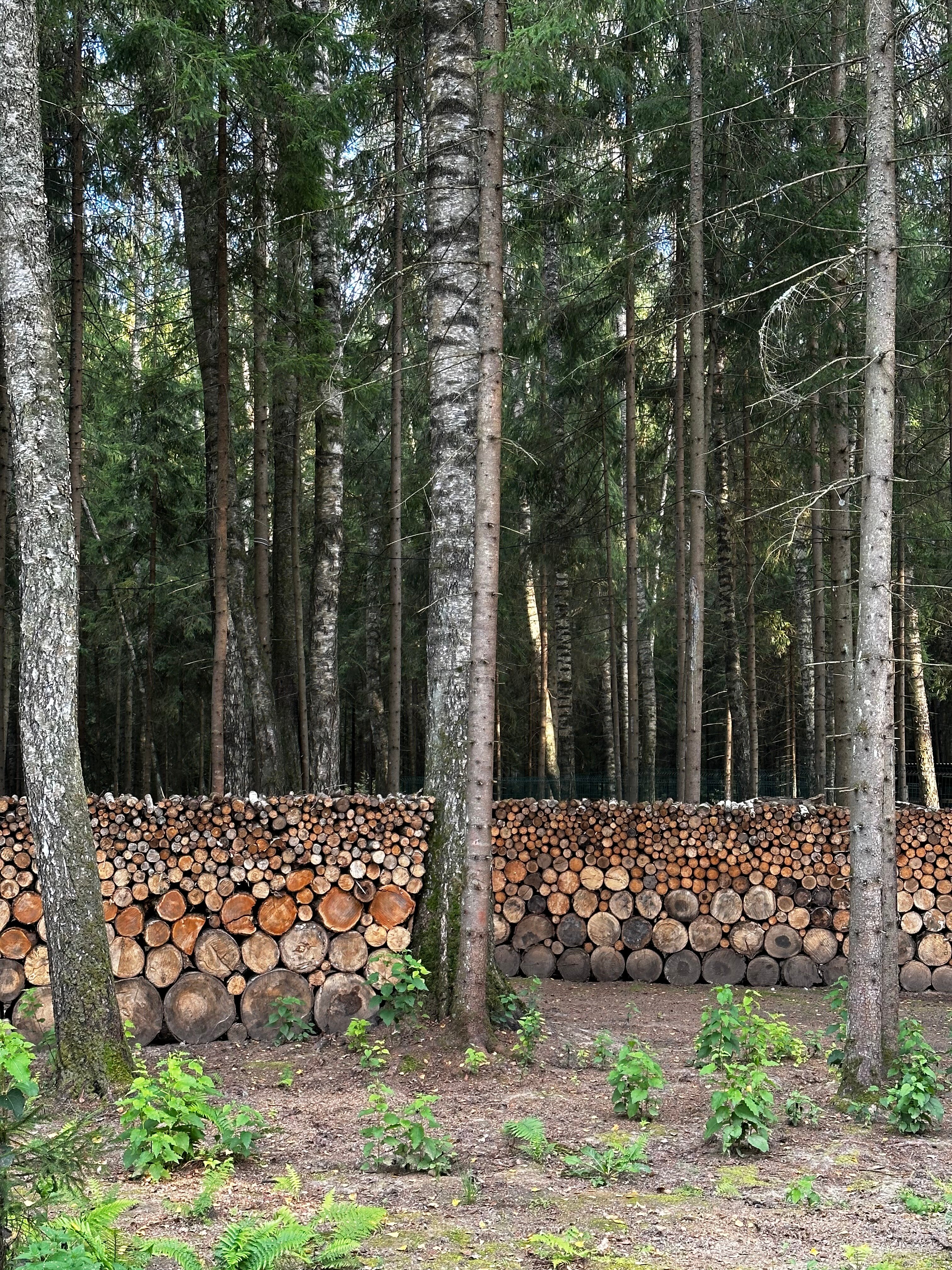 Фото Плавное течение