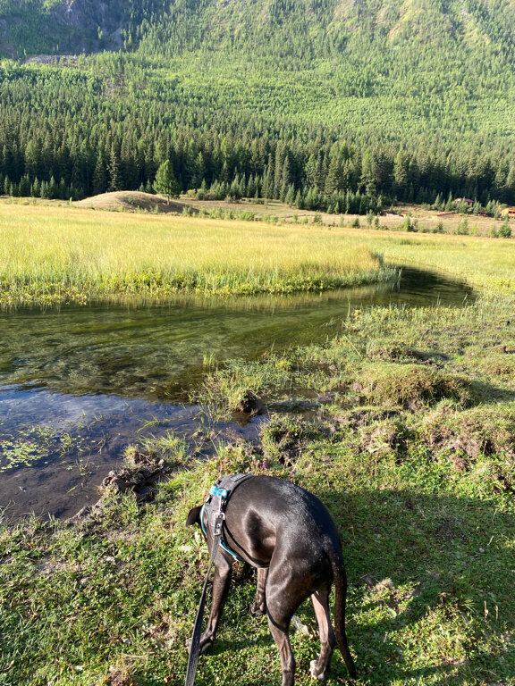 Фото Место силы