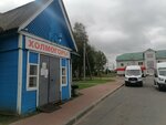 Avtobusny vokzal Kholmogory (selo Kholmogory, ploshchad Morozova, 1), bus station