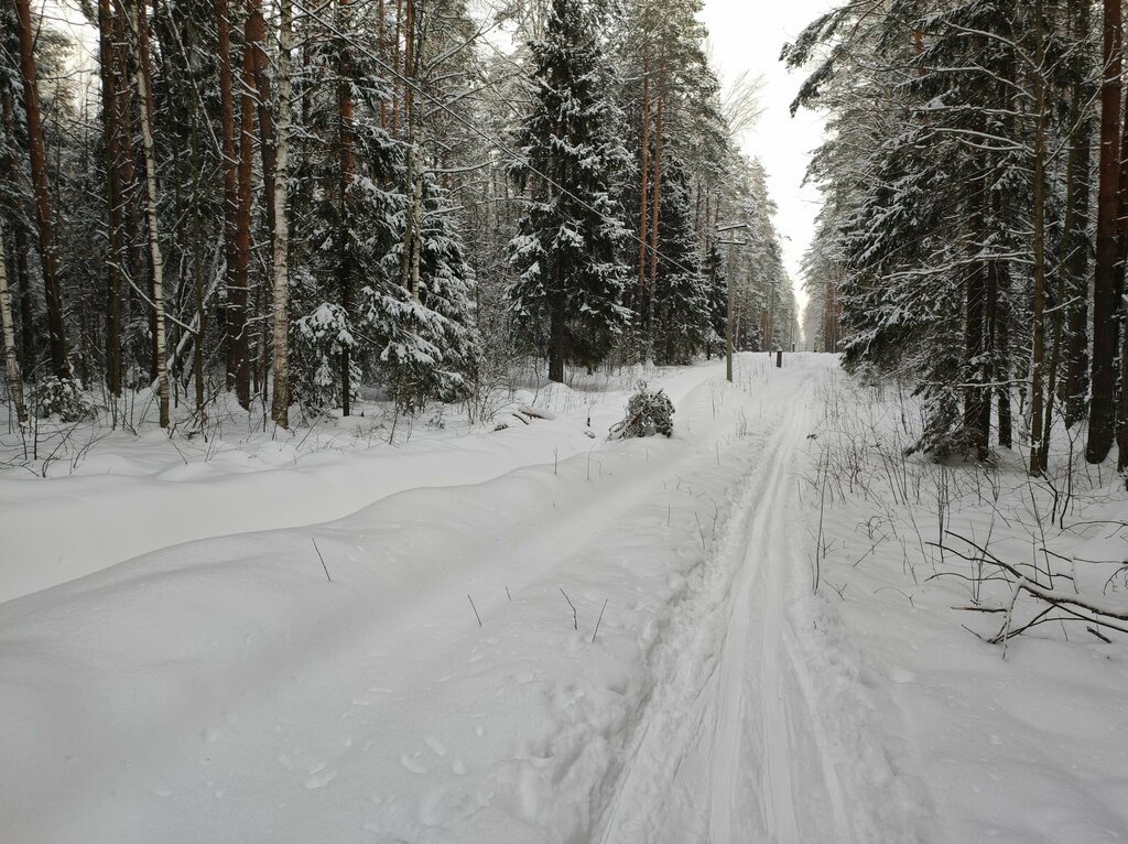 Nature reserve Памятник природы регионального значения Зелёный город, Nizhny Novgorod, photo