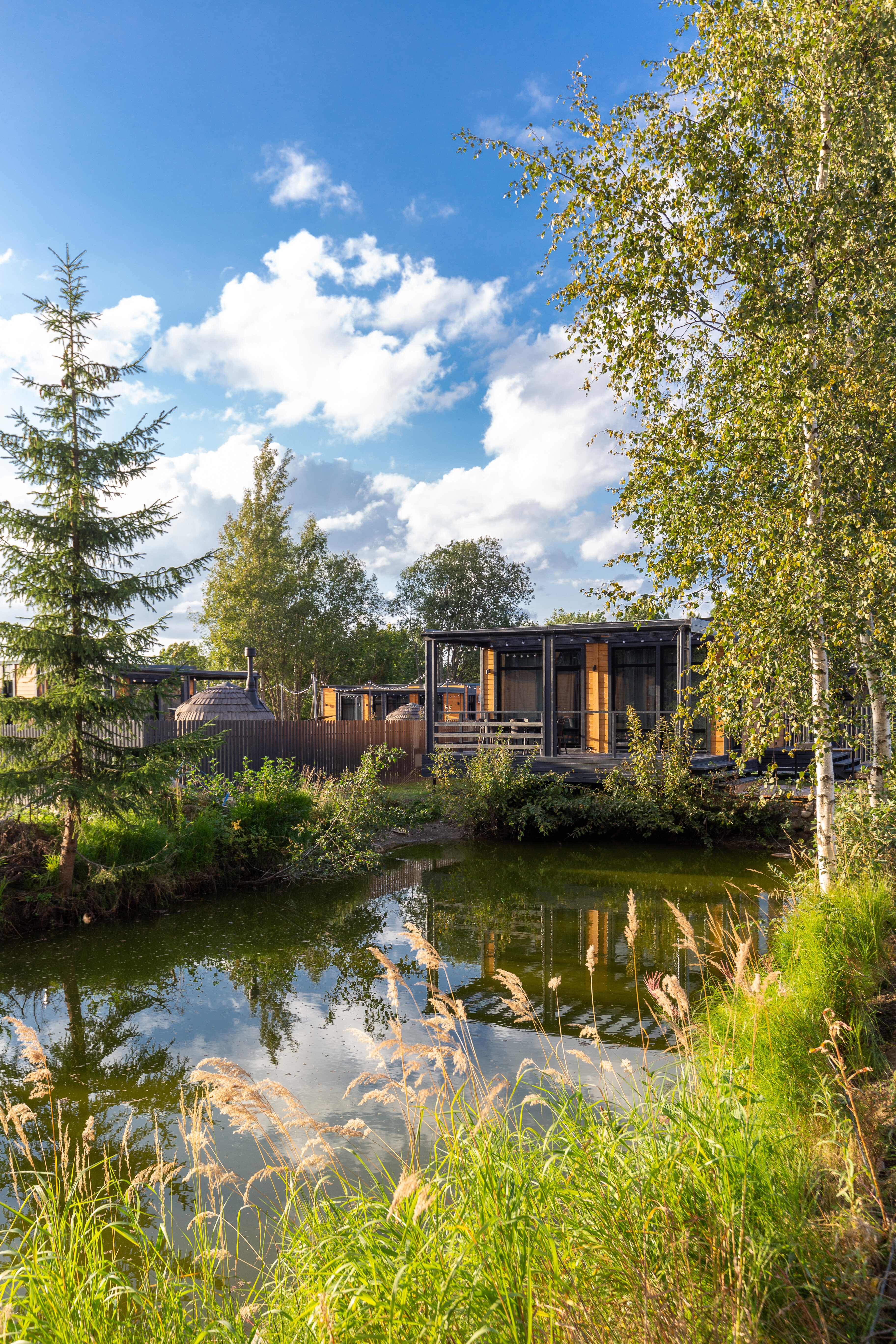 Фото Блэк Вилладж Фэмили