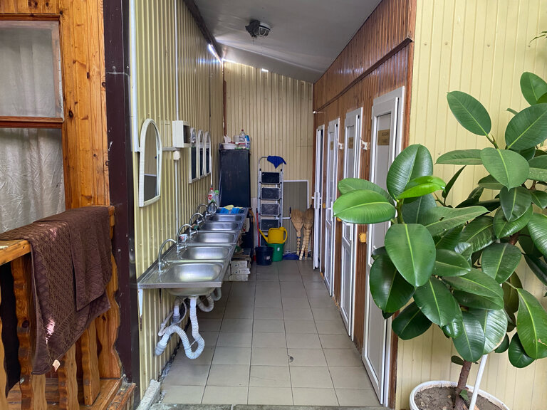 Фото Владис