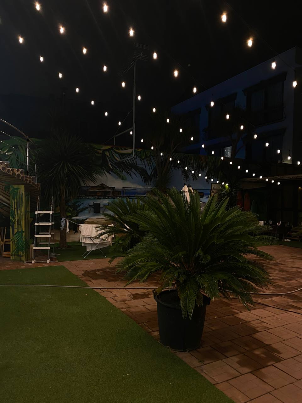 Фото Скайфом