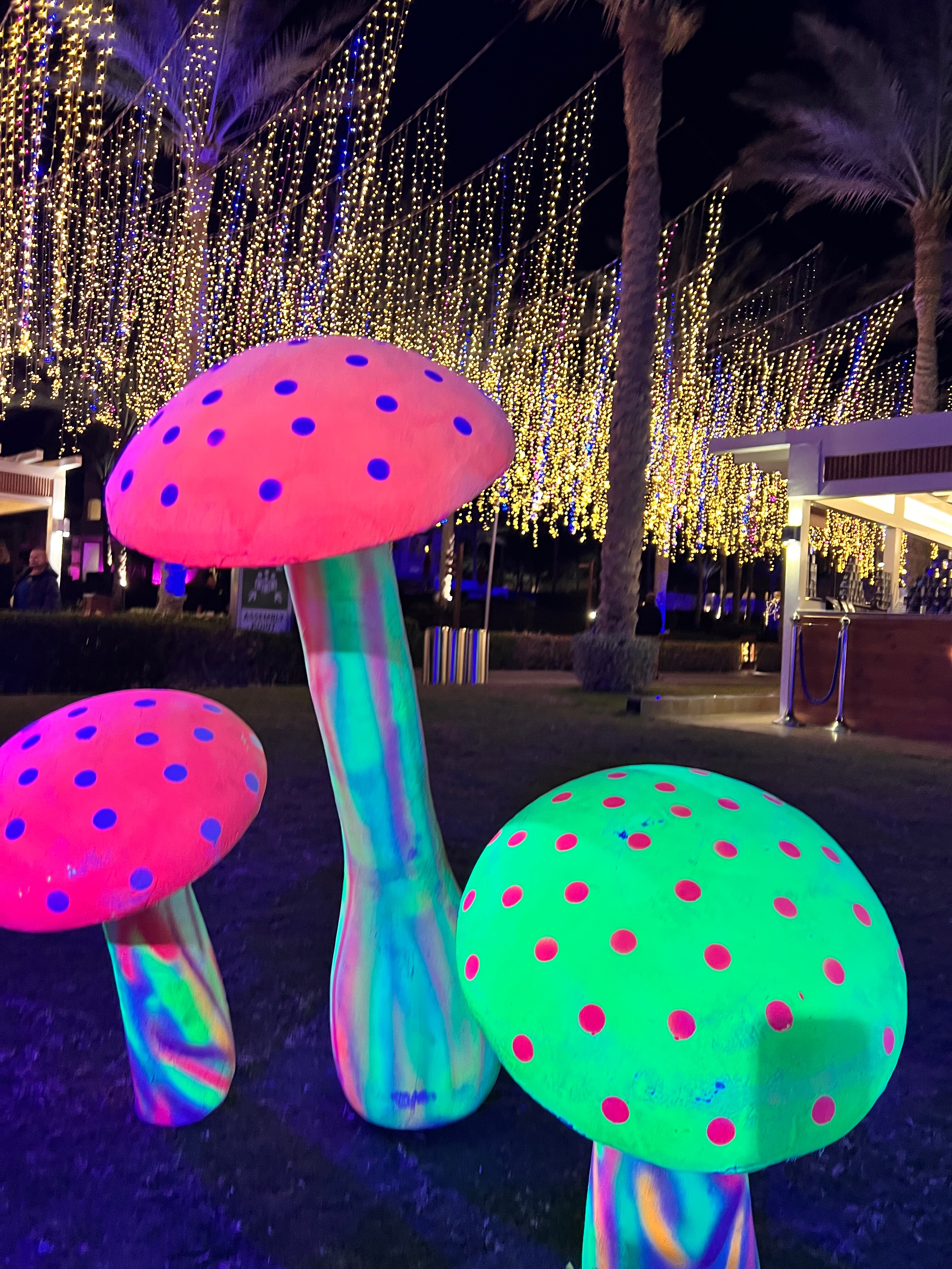 Фото Rixos Sharm El Sheikh