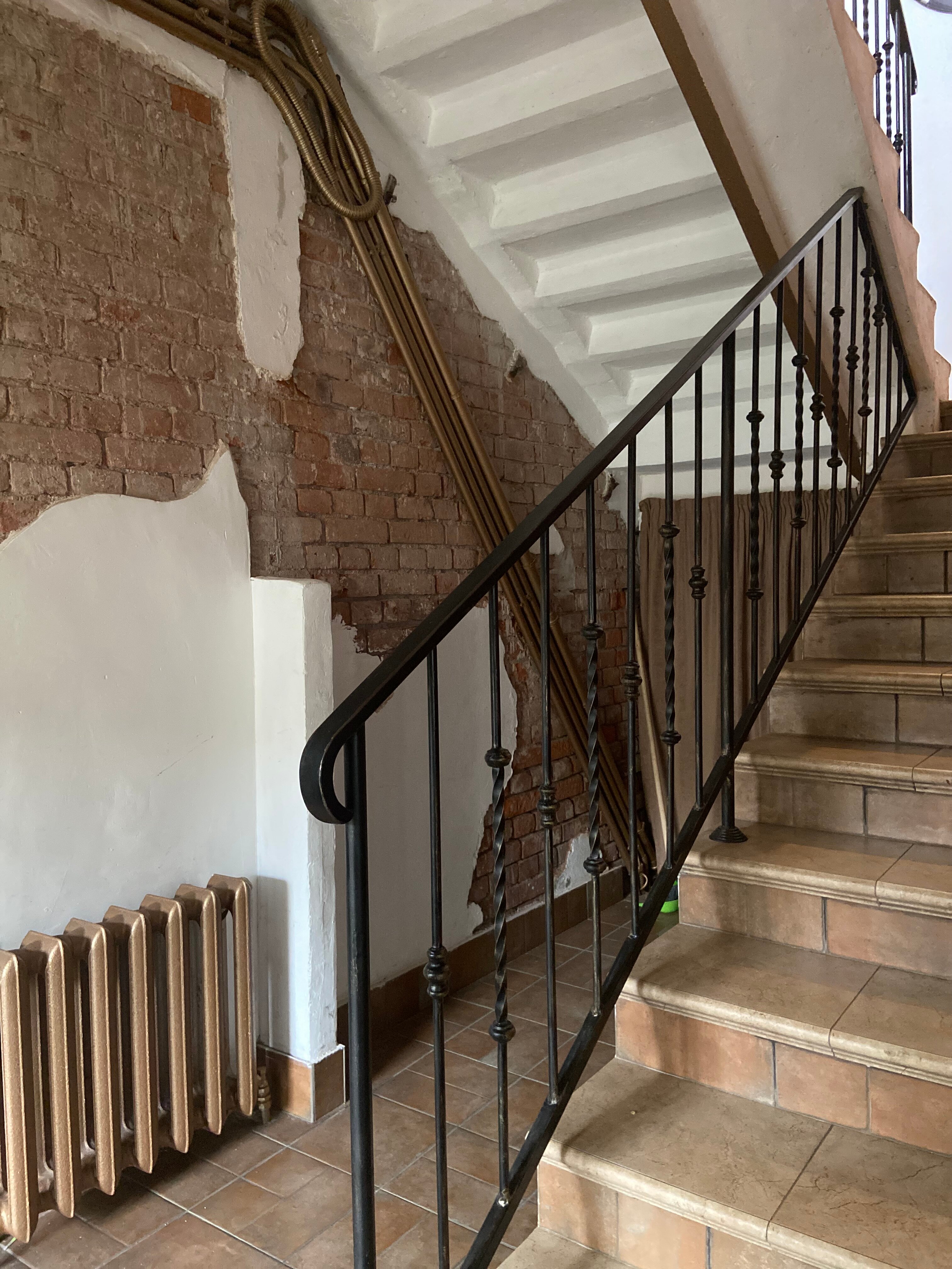 Фото Два гуся