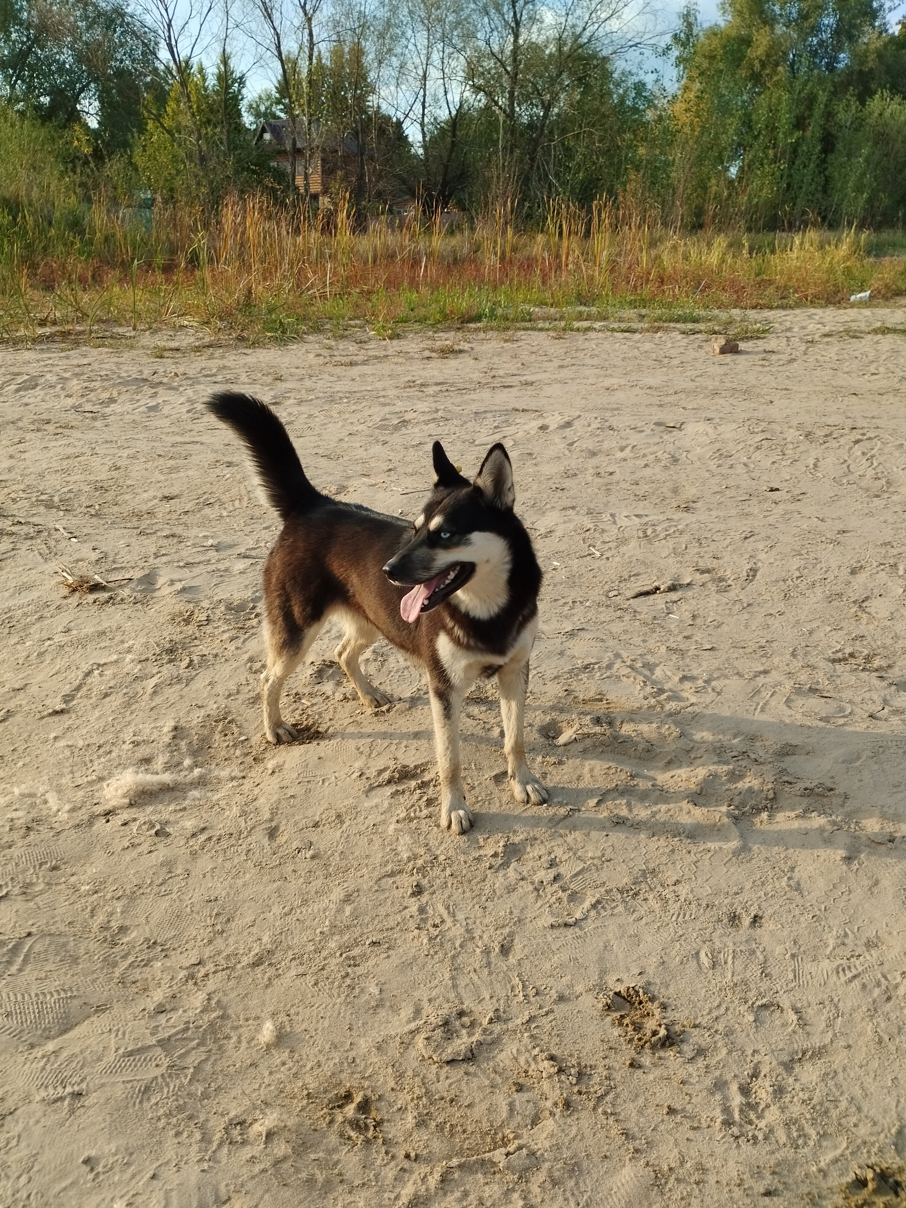 Фото Займище