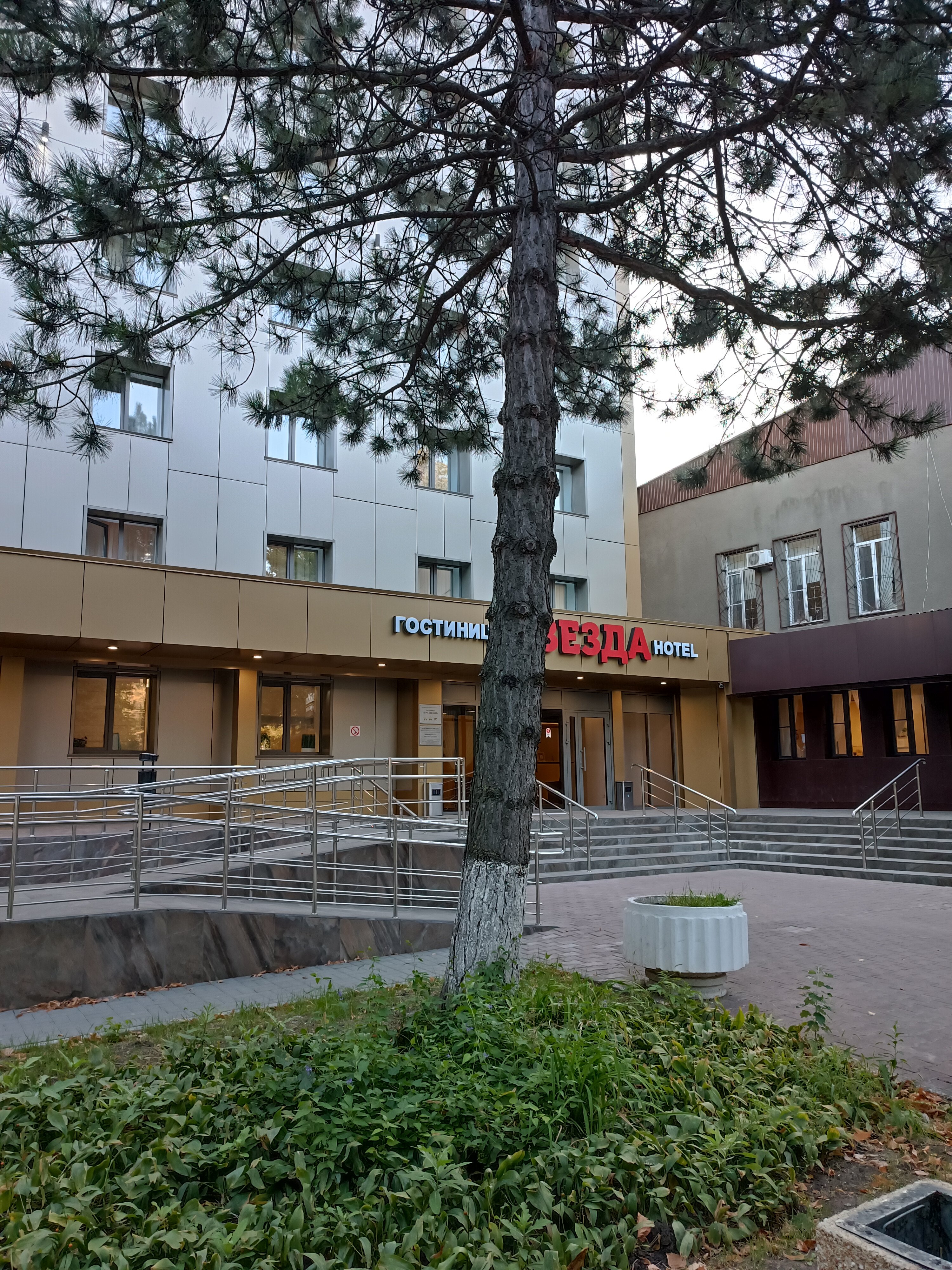 Фото Звезда