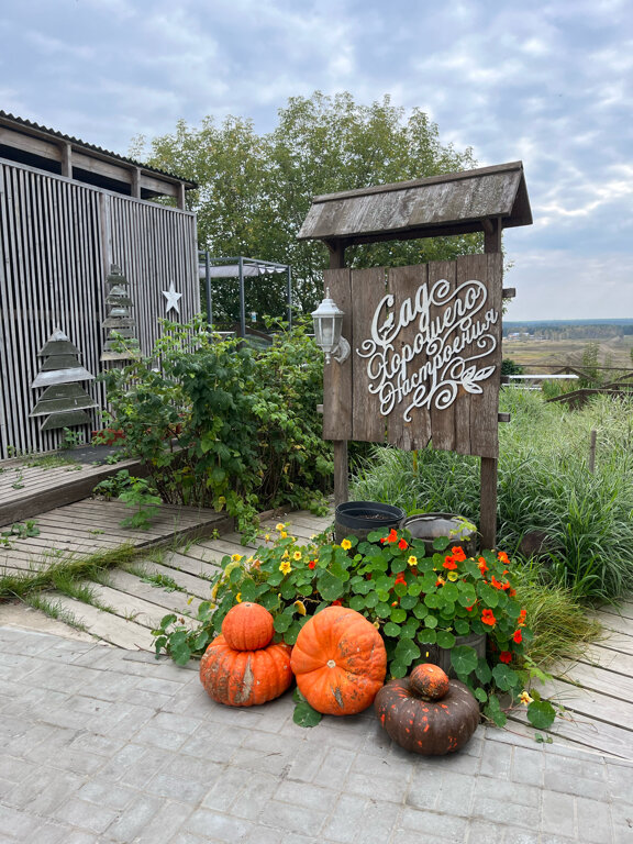 Фото Снегирь