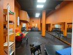 Пряник (Generala Tuleneva Street, 25А), zoo center