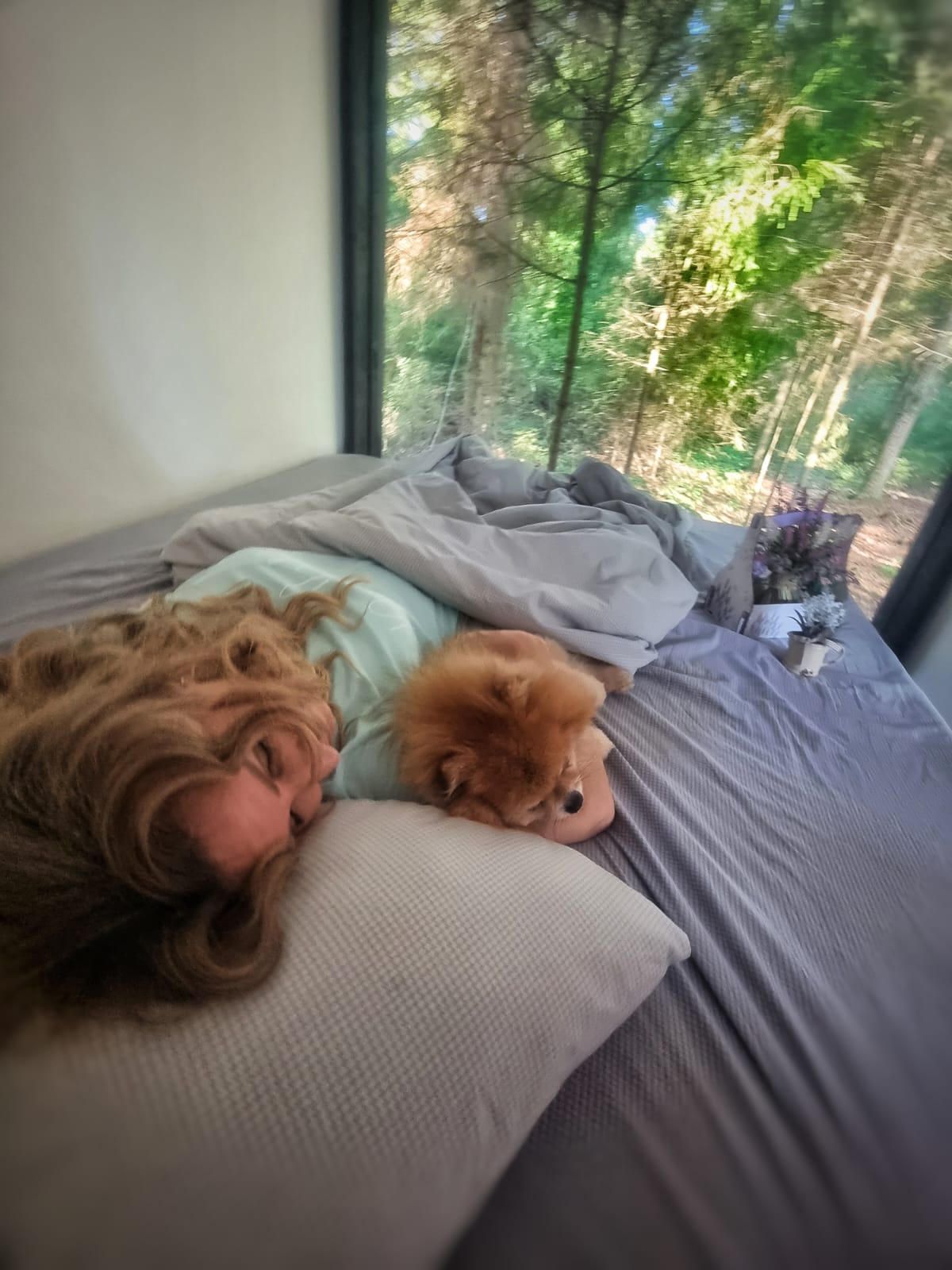 Фото Лагом Хаус