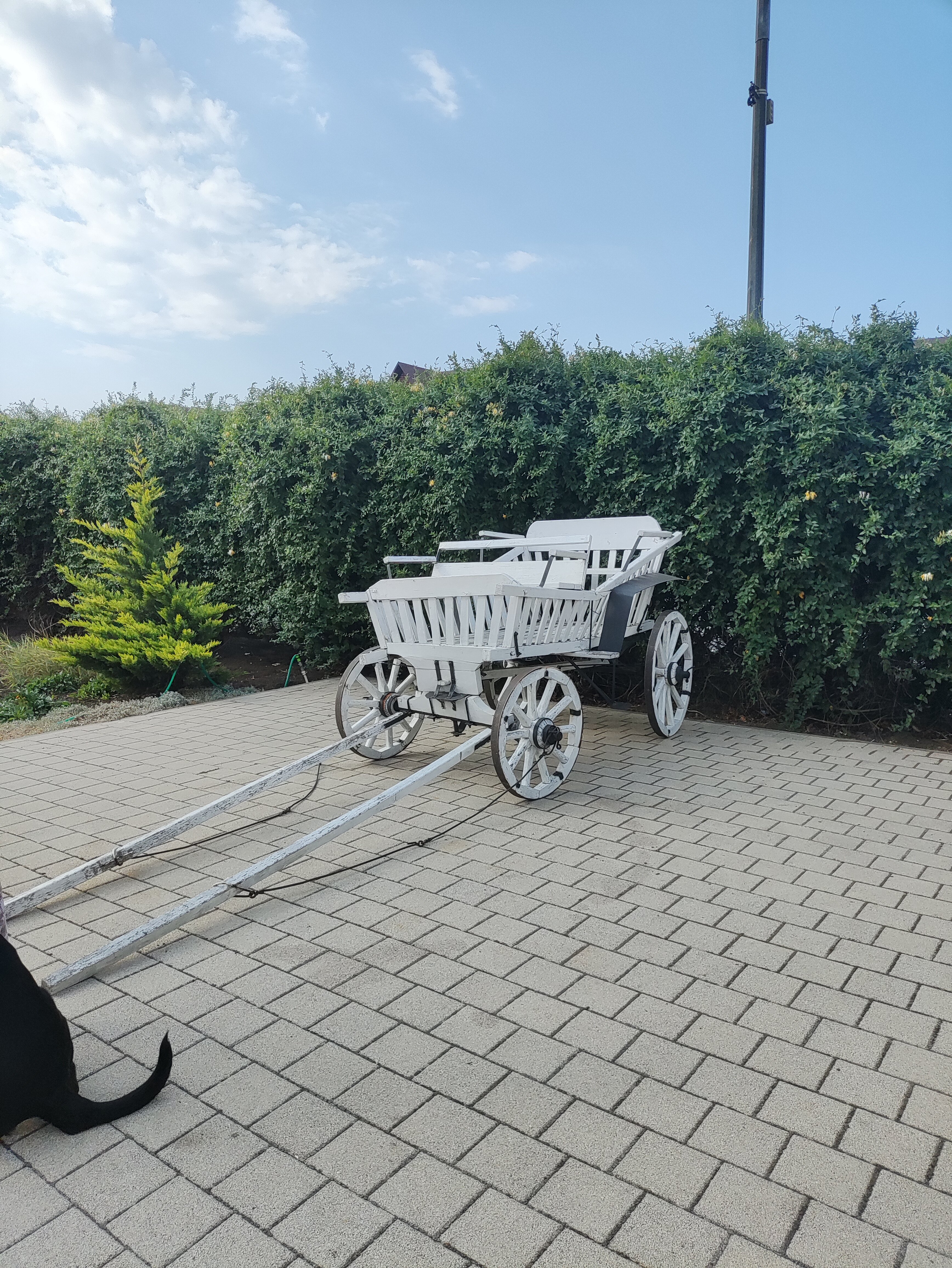 Фото Старая мельница